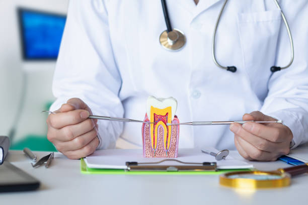 Best Emergency Care for Gum Disease in Poquott, NY